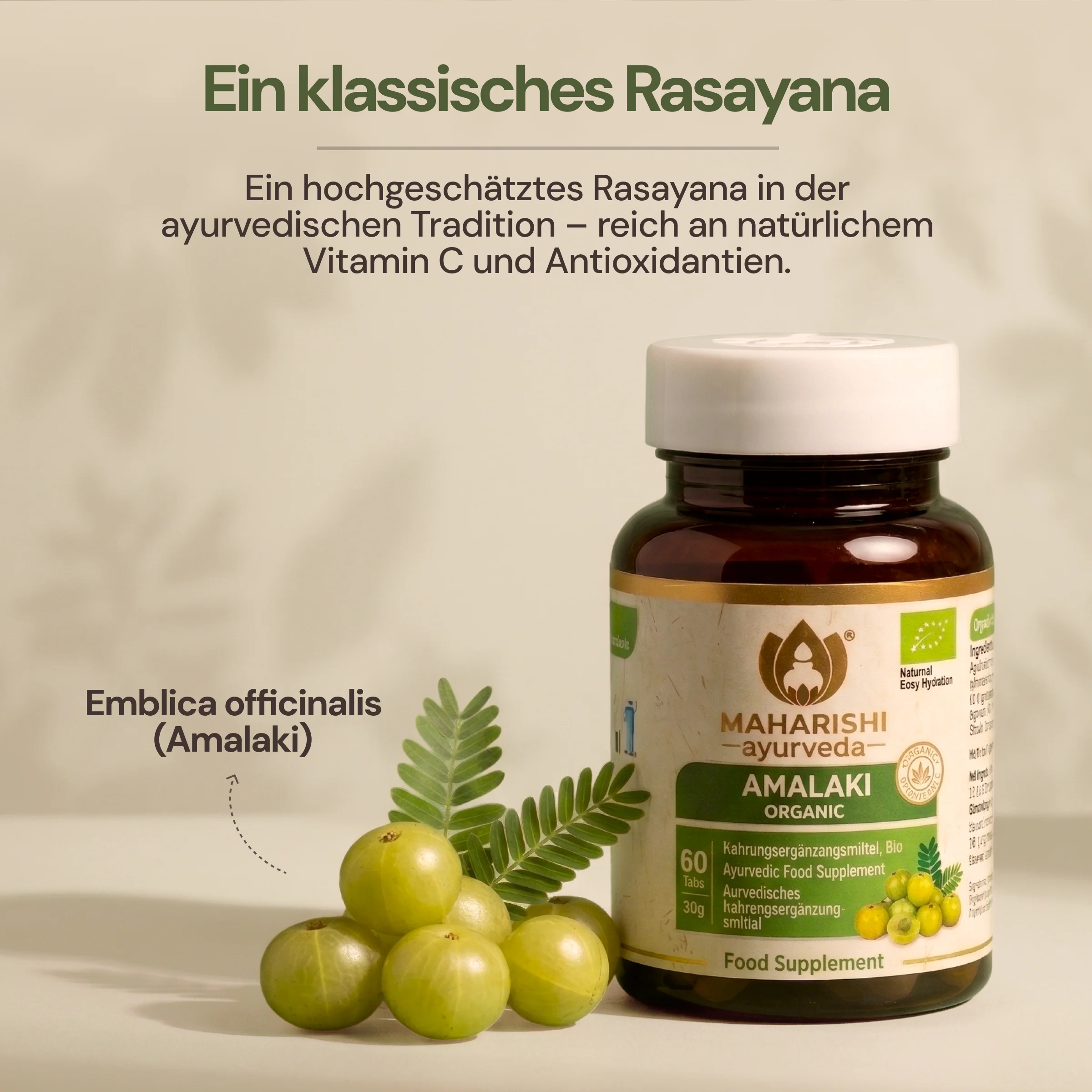 Amalaki Bio (Amla Frucht) Super Herb - Image 3