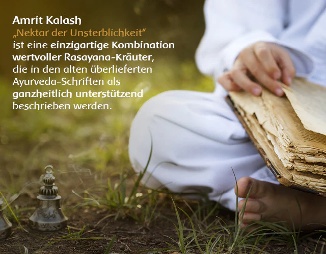 Amrit Kalash - MA 4 – Frucht- und Kräuterzubereitung, Ayurveda Nahrung - Image 3
