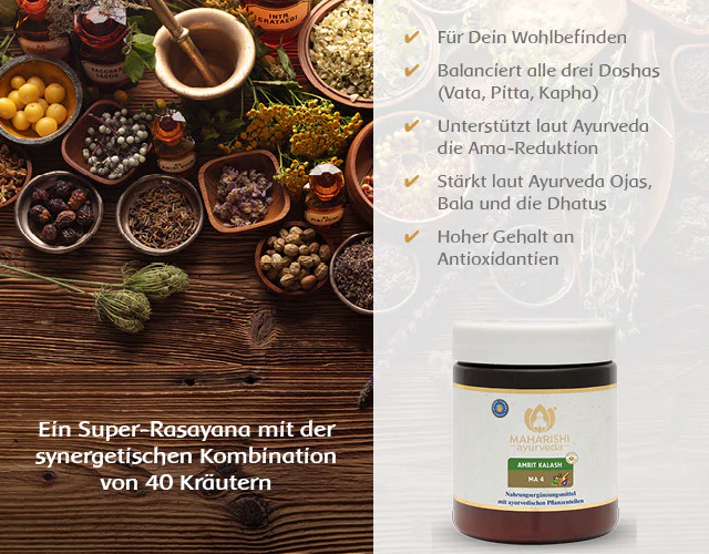 Amrit Kalash - MA 4 – Frucht- und Kräuterzubereitung, Ayurveda Nahrung - Image 4