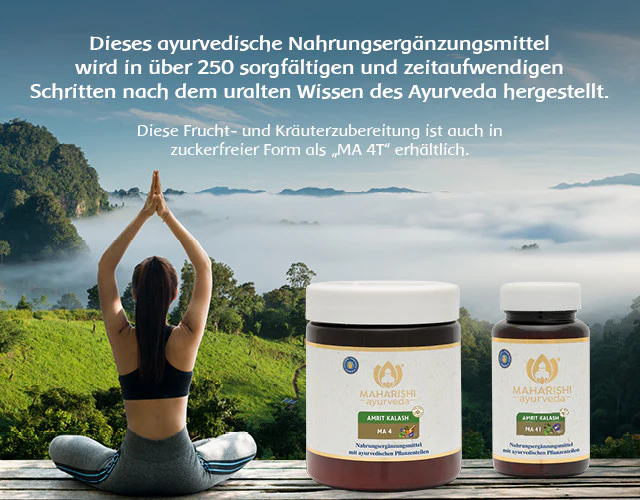 Amrit Kalash - MA 4 – Frucht- und Kräuterzubereitung, Ayurveda Nahrung - Image 5