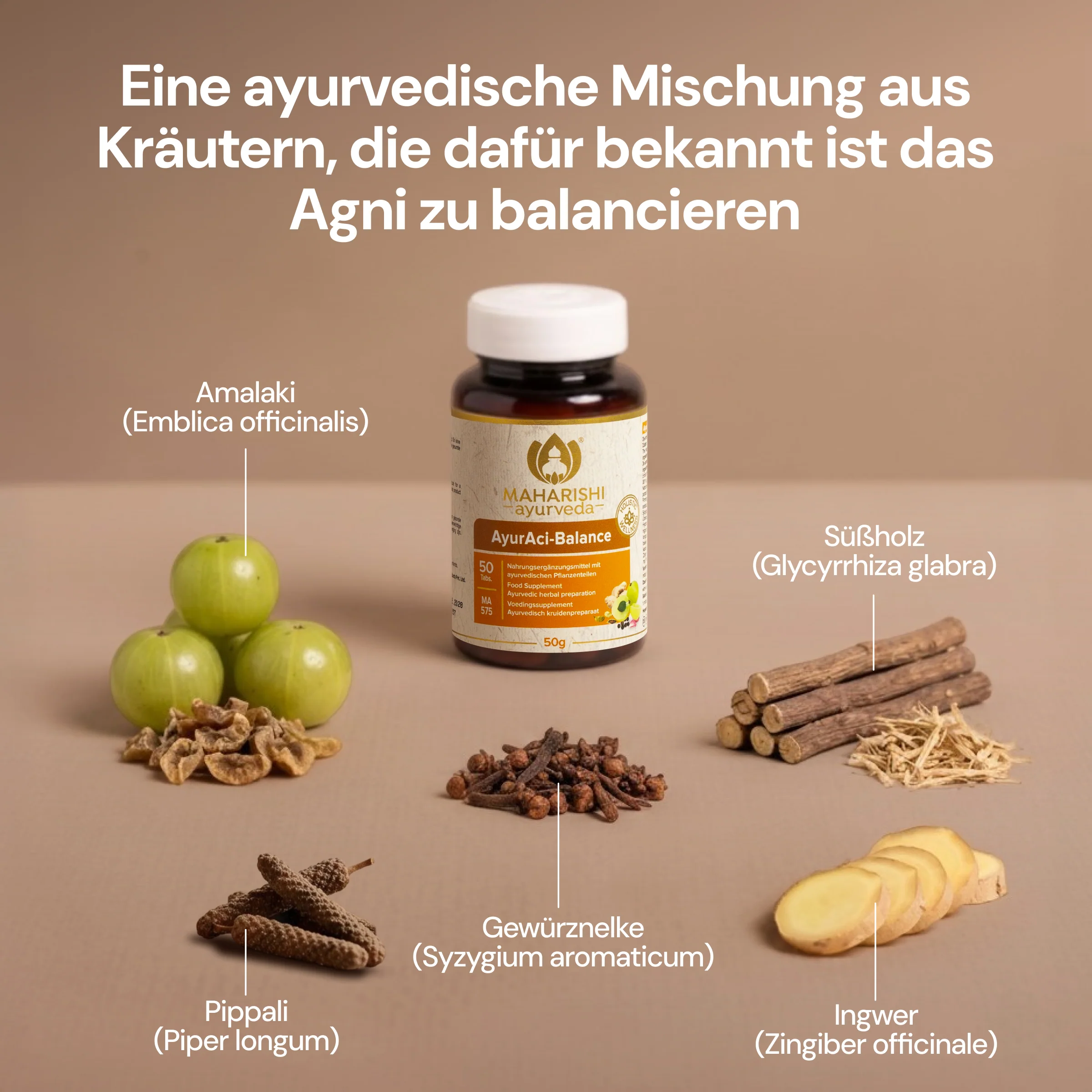 AyurAci-Balance MA575 - Image 3