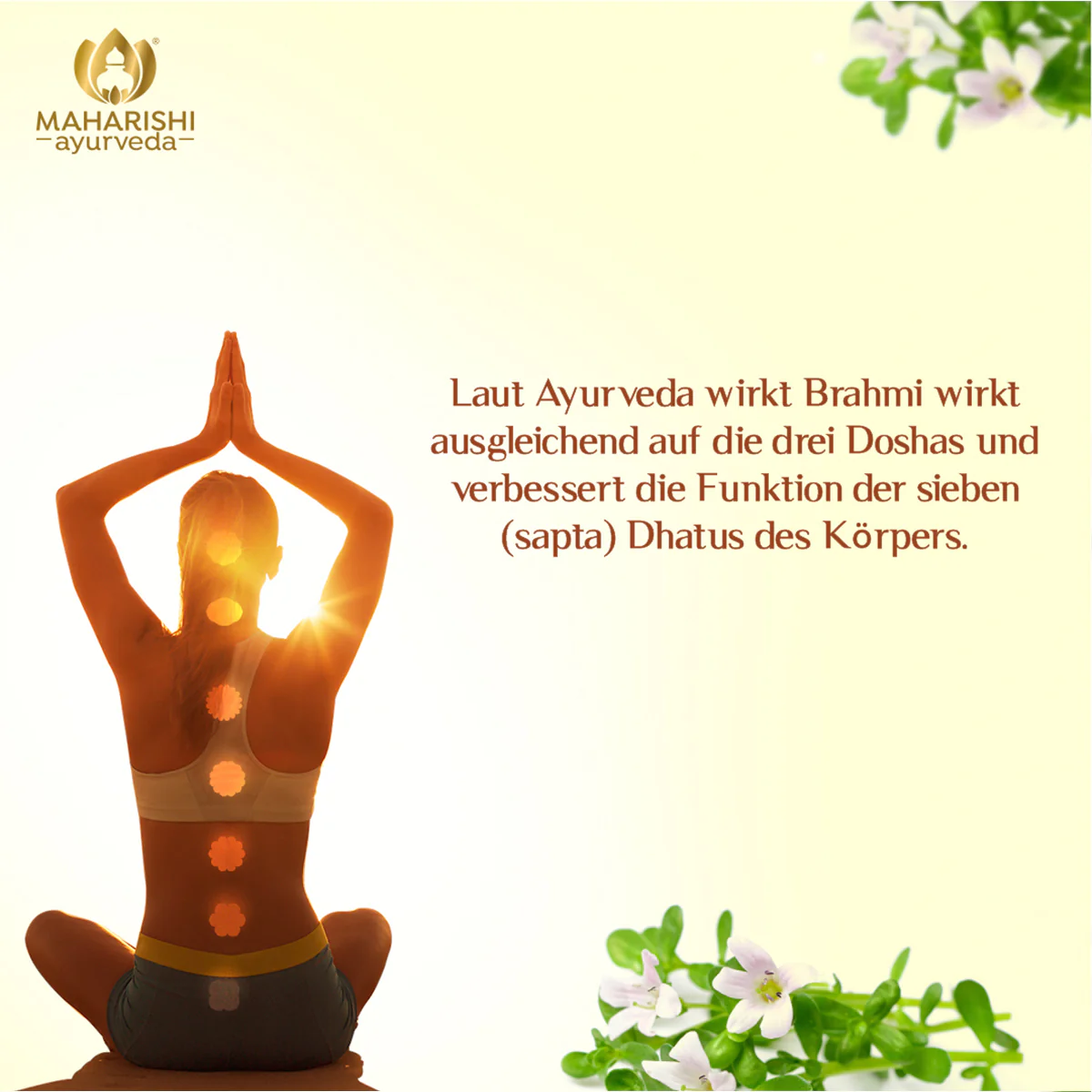 Brahmi Bio Super Herb – Brahmi Nahrungsergänzung, Bio Ayurveda Kräuter - Image 4