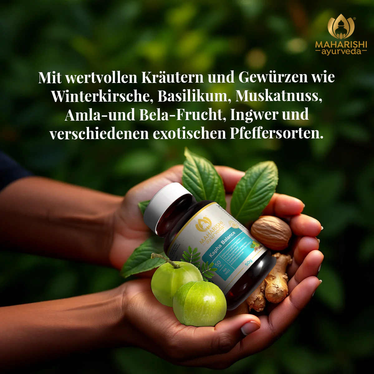 Kapha-Balance MA 1402 – Ayurveda Nahrungsergänzung mit Kräutern - Image 3