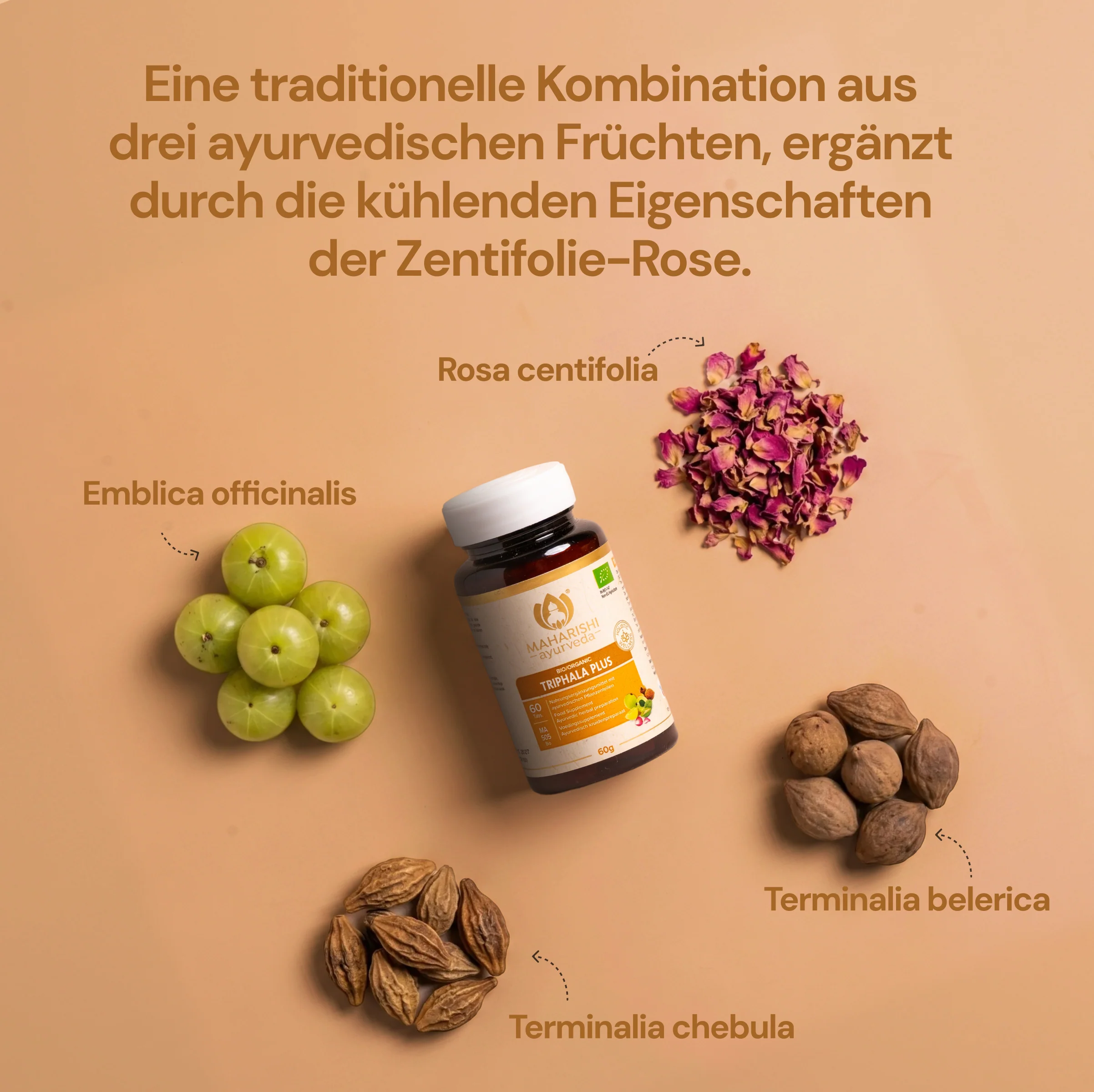 Triphala Plus (Bio), 60 g MA 505 - Image 3